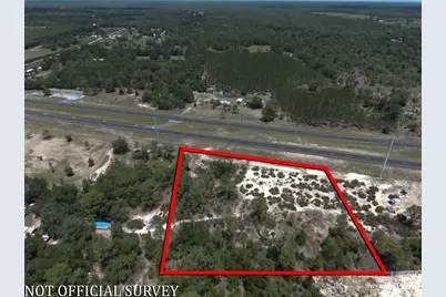 000 NE Hwy 27 Alt, Williston, FL 32696 - Photo 5