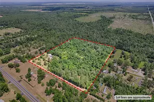 7776 SE 113th Ct, Jasper, FL 32052 - Photo 43