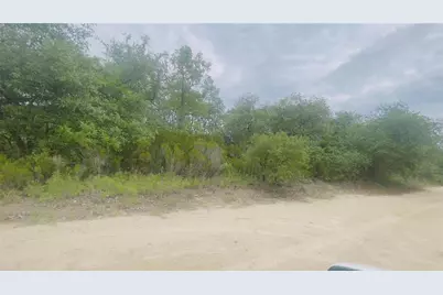 Lot 115 NE 87th Pl, Bronson, FL 32621 - Photo 3