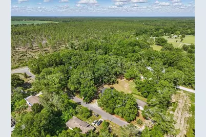 1180 Hough Street, Bell, FL 32619 - Photo 31