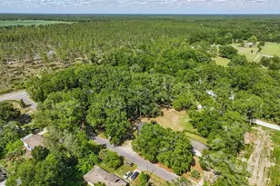 1180 Hough St, Bell, FL 32619 - Photo 31