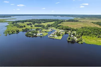 3943 NW 219th Street Road, Micanopy, FL 32667 - Photo 3