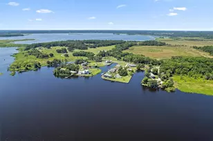 3943 NW 219th Street Rd, Micanopy, FL 32667 - Photo 3