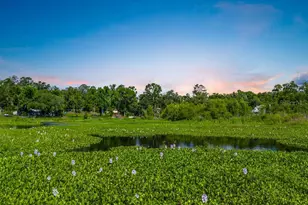 11274 71st Dr, Live Oak, FL 32060 - Photo 33