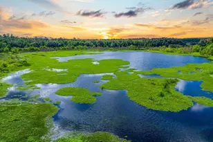 11274 71st Dr, Live Oak, FL 32060 - Photo 31