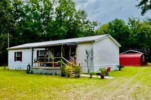 6669 NW 36th Ln, Bell, FL 32619 - Photo 5