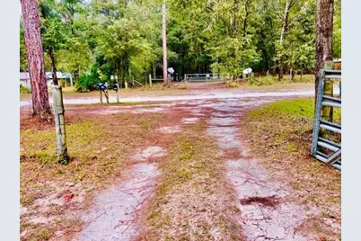 6669 NW 36th Lane, Bell, FL 32619 - Photo 7