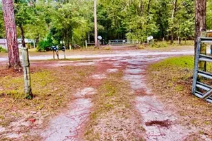 6669 NW 36th Ln, Bell, FL 32619 - Photo 7