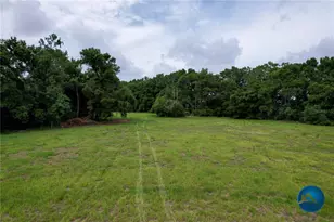 0 NW 206th Circle NW, High Springs, FL 32643 - Photo 9