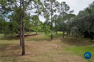 6214 NW 105th Ave, Alachua, FL 32615 - Photo 5