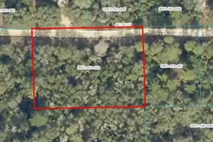 Tbd NE 236 St, Fort Mc Coy, FL 32134 - Photo 1