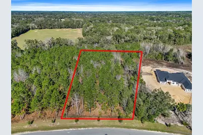 2559 NW 150th Boulevard, Newberry, FL 32669 - Photo 13