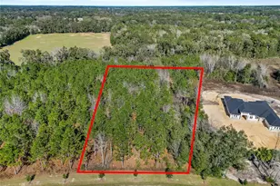 2559 NW 150th Blvd, Newberry, FL 32669 - Photo 13