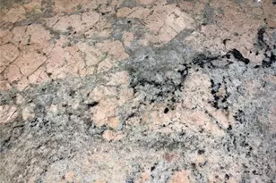 4715 SW 91st Dr, Gainesville, FL 32608 - Photo 13