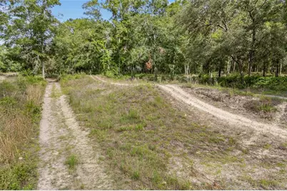 1827 SW Shiloh Street, Fort White, FL 32038 - Photo 51