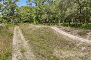 1827 SW Shiloh St, Fort White, FL 32038 - Photo 51