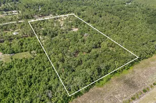 1827 SW Shiloh St, Fort White, FL 32038 - Photo 45