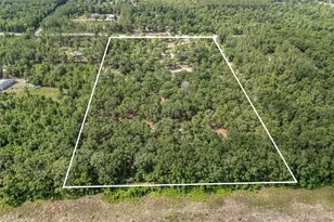 1827 SW Shiloh St, Fort White, FL 32038 - Photo 47