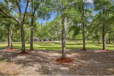 1827 SW Shiloh Street, Fort White, FL 32038 - Photo 7