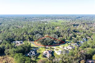 2006 NW 104th Way, Gainesville, FL 32606 - Photo 3