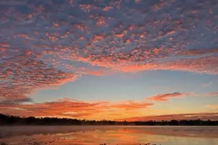 21329 SE 111 Ave, Hawthorne, FL 32640 - Photo 31