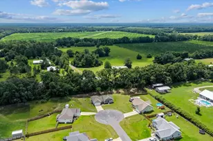 173 SW 24th Ave, Trenton, FL 32693 - Photo 53