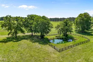 4639 SW Wilson Springs Rd, Fort White, FL 32038 - Photo 25