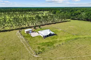 4639 SW Wilson Springs Rd, Fort White, FL 32038 - Photo 17