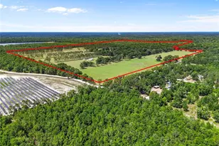 4639 SW Wilson Springs Rd, Fort White, FL 32038 - Photo 21