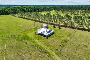 4639 SW Wilson Springs Rd, Fort White, FL 32038 - Photo 19
