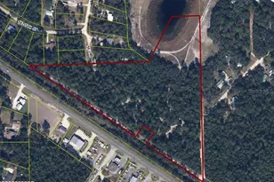 00 State Road 100, East Palatka, FL 32656 - Photo 1