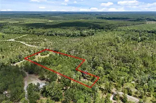 2309 NE 73rd Ave, Gainesville, FL 32609 - Photo 3