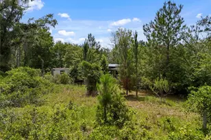 2309 NE 73rd Ave, Gainesville, FL 32609 - Photo 9