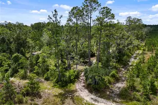 2309 NE 73rd Ave, Gainesville, FL 32609 - Photo 5