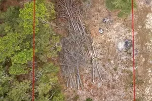 NE State Road 121, Williston, FL 32696 - Photo 1