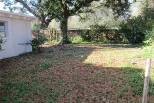 2904 NE 11th Terrace, Gainesville, FL 32609 - Photo 23