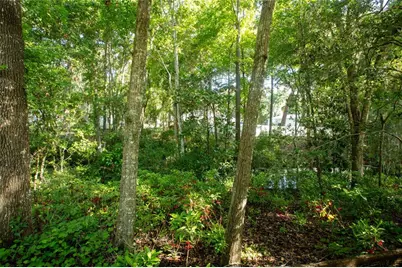 523 SE 28th Way, Melrose, FL 32666 - Photo 9