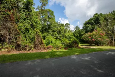 5165 Chicory Circle, Middleburg, FL 32068 - Photo 13