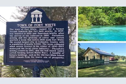 Sw Jordan St, Fort White, FL 32038 - Photo 3