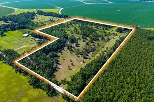 2604 SE Donaldson Rd, Lee, FL 32059 - Photo 1