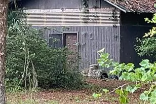 8289 NE Hwy 349, Old Town, FL 32680 - Photo 21