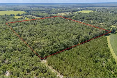 8289 NE Highway 349, Old Town, FL 32680 - Photo 5