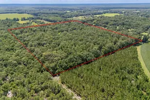 8289 NE Hwy 349, Old Town, FL 32680 - Photo 5