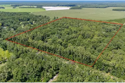 8289 NE Highway 349, Old Town, FL 32680 - Photo 3