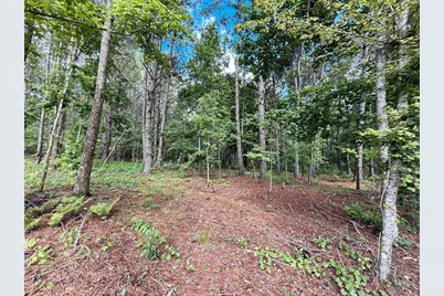 14917 NW County Road 237, Alachua, FL 32615 - Photo 23