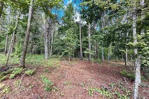 14917 NW County Road 237, Alachua, FL 32615 - Photo 23