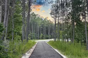 14917 NW County Road 237, Alachua, FL 32615 - Photo 21