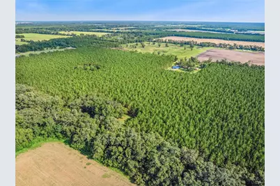 1550 NW 167 Place, Trenton, FL 32693 - Photo 71