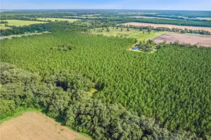 1550 NW 167 Pl, Trenton, FL 32693 - Photo 71