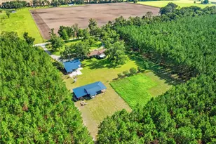 1550 NW 167 Pl, Trenton, FL 32693 - Photo 9